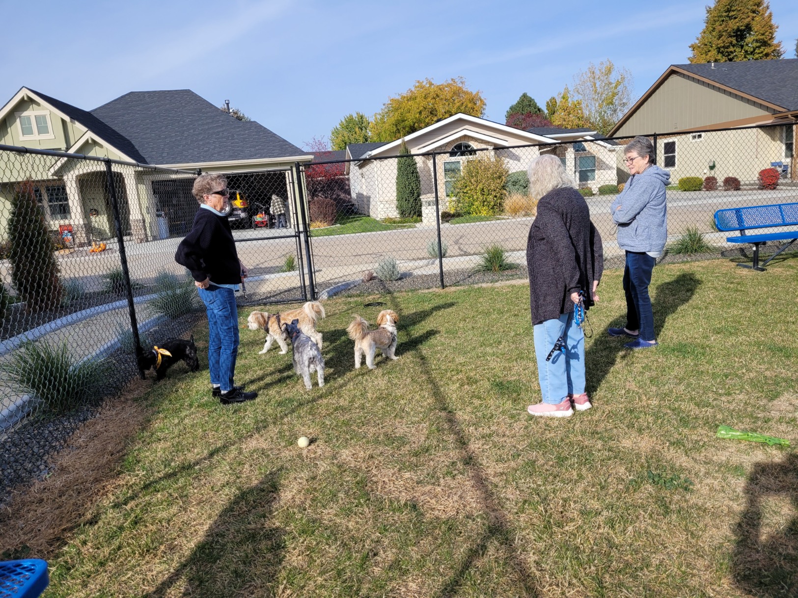 Brooke View residents in the dog park