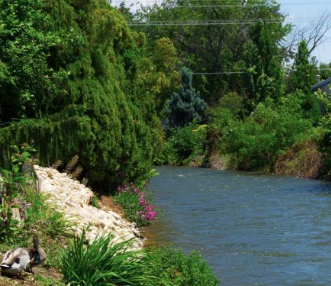 tranquil ridenbaugh canal views with lush landscape at brooke view in boise id